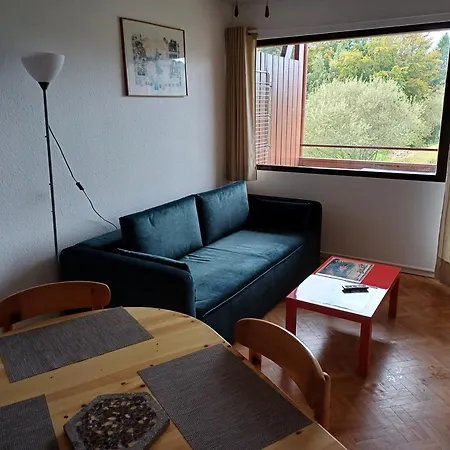 Loue Appartement Saisonniere Xonrupt Longemer 4 Personnes Extérieur photo