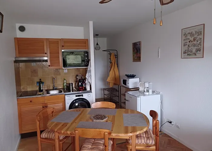 Loue Appartement Saisonniere Xonrupt Longemer 4 Personnes
