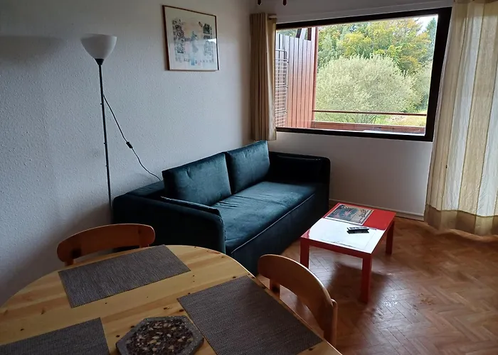Loue Appartement Saisonniere Xonrupt Longemer 4 Personnes