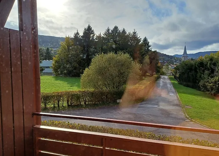 Loue Appartement Saisonniere Xonrupt Longemer 4 Personnes