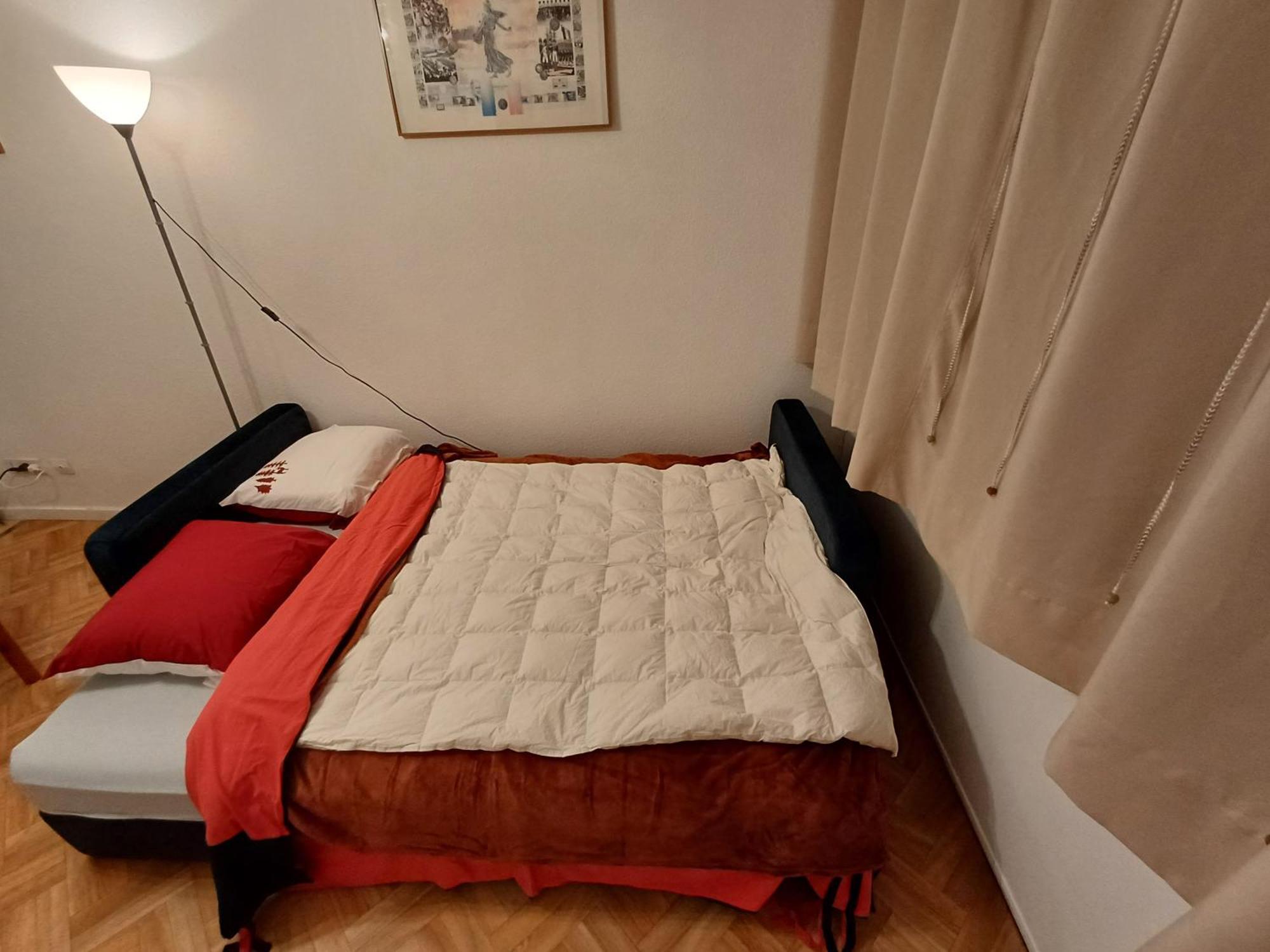 Apartment Loue Saisonniere Longemer 4 Personnes *